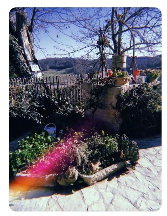 Ferienwohnung La Casina Di Ancicucco 1 San Gimignano Exterior foto